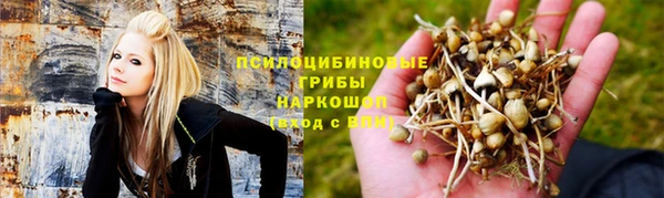 ПСИЛОЦИБИНОВЫЕ ГРИБЫ Баксан