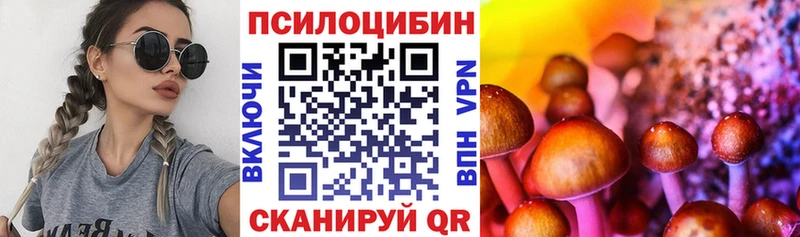 Галлюциногенные грибы мицелий  Волхов 